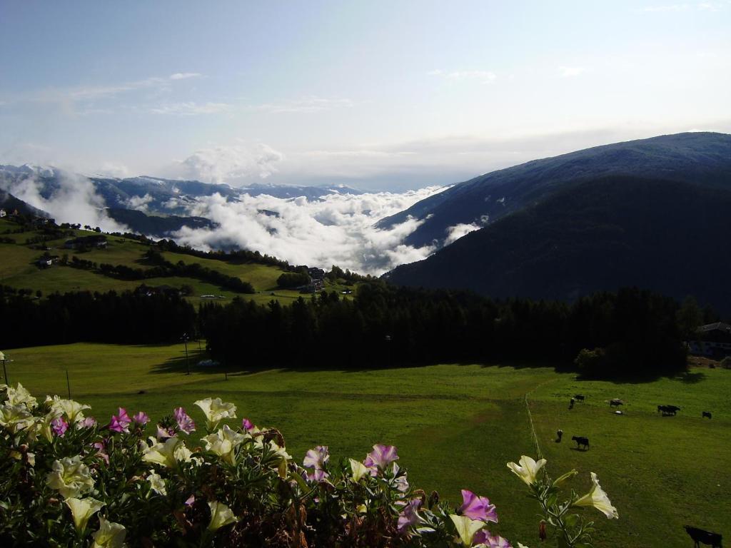 Pension Schifferegger Maranza Bagian luar foto